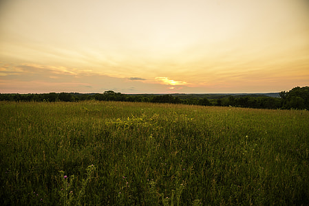 Dusk and sunset over the grassland in Cross Plains State Park thumbnail
