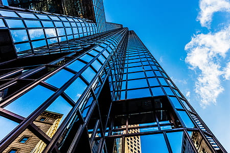 worms eye view photography of building thumbnail