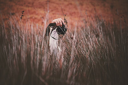 person holding black DSLR camera on grass thumbnail