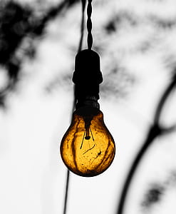 Close-Up Photography of Lightbulb thumbnail