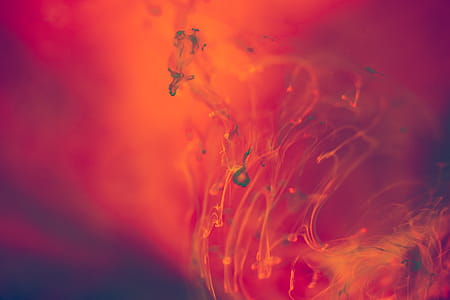 Abstract Red and Orange Liquid Background thumbnail