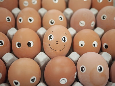 closeup photo of eggs on tray thumbnail