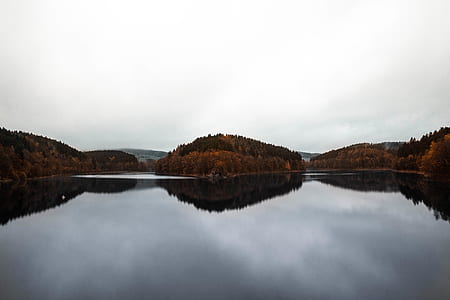 photo of glassy body of water and trees under white clouds at daytime thumbnail
