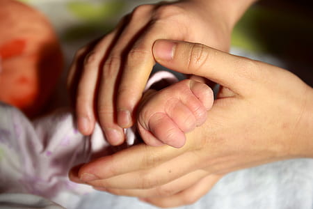 person holding baby's hand thumbnail