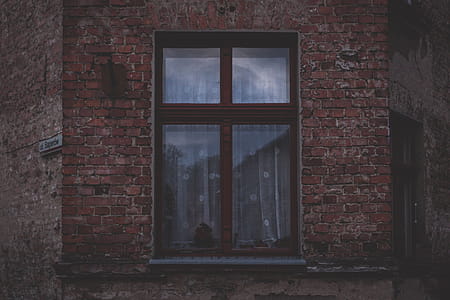 Window Closed thumbnail