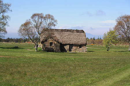 brown house beside tree under blue sky thumbnail