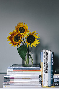Sunflowers and books thumbnail