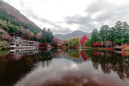 body of water near trees and house thumbnail