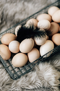 Wire mesh basket with fresh farm eggs thumbnail
