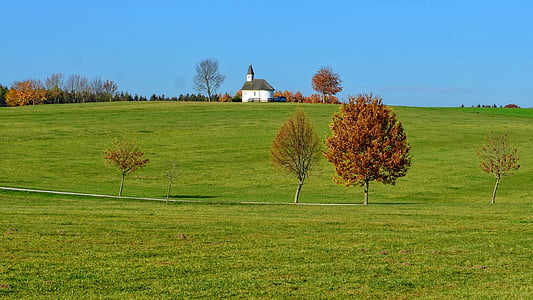 white painted house in the middle on grass field thumbnail
