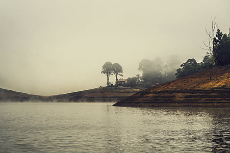 brown house near tree with fogs thumbnail