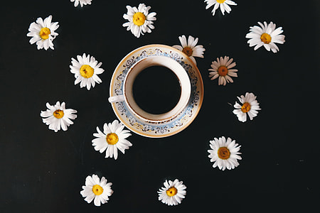 Overhead shot of coffee and flowers thumbnail
