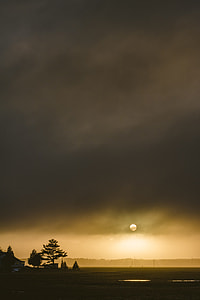 sun shining over tree with cumulus clouds thumbnail