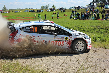 white Ford Fiesta hatchback rally car drifting beside green grass field under white clouds thumbnail