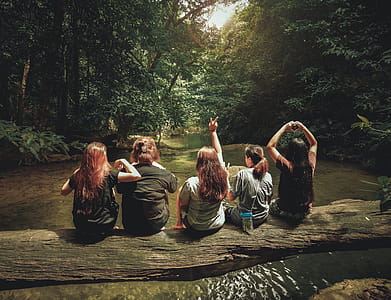 Five Women Sitting On Tree Trunk thumbnail
