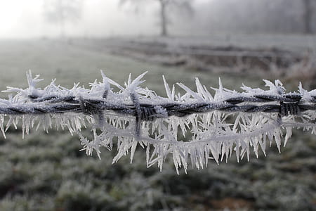 photo of frosted barbed wire thumbnail