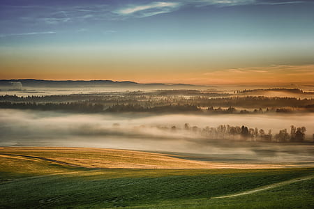 green land covered with fog thumbnail