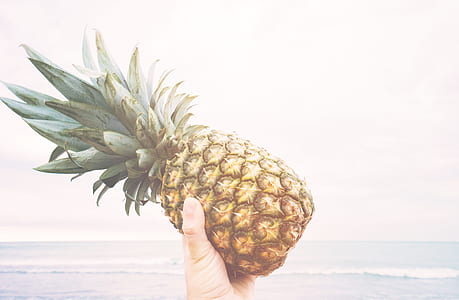 person holding pineapple fruit thumbnail