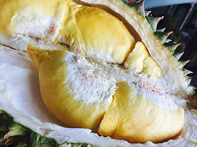 view of durian fruit thumbnail