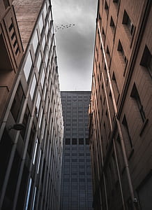 low angle photography of brown concrete buildings thumbnail