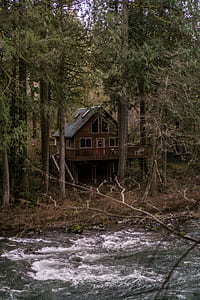 brown house in the woods thumbnail