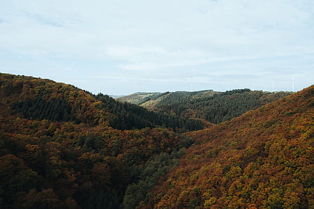 aerial photography of forest mountain thumbnail