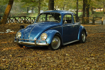blue Volkswagen Beetle coupe parked near trees thumbnail