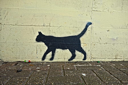 photo of black cat wall paint thumbnail