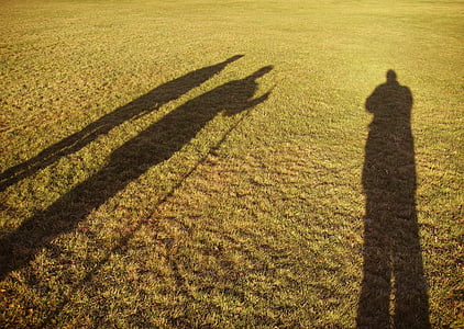 person's shadow on green grass field thumbnail