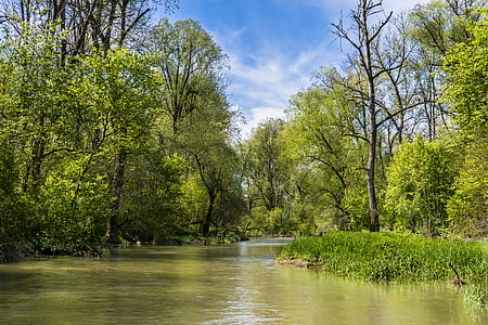 calm body of water in between forest trees at daytime thumbnail