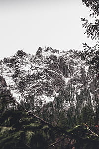 green trees near snowy mountain thumbnail