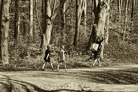grayscale photo of woman, boy, and girl walking near trees thumbnail