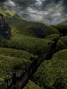 green grass and mountain thumbnail