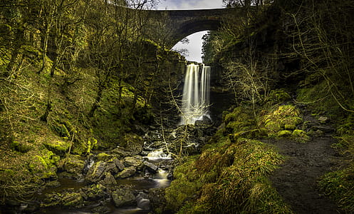 Waterfall Near Bridge Surrounded by Trees thumbnail