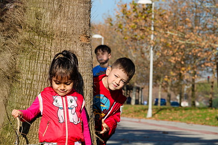 three kids playing near brown tree trunk at daytime thumbnail