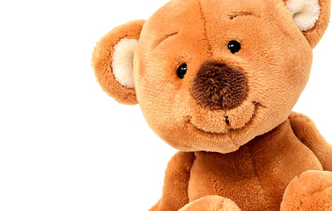 closeup photo of brown bear plush toy thumbnail