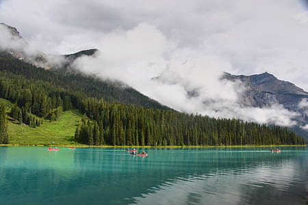wood, fishing, landscape, mountains thumbnail