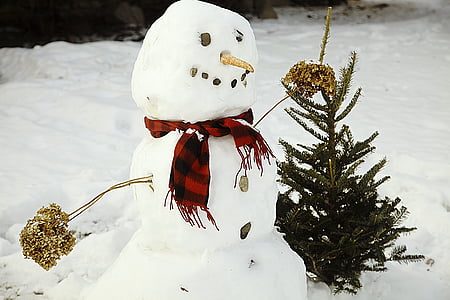 snowman in red plaid scarf thumbnail