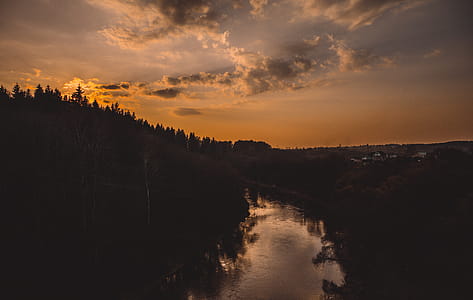 Silhouette of Trees Beside River thumbnail