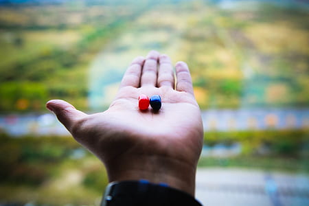 Red And Blue Jelly Beans On Person's Left Palm thumbnail