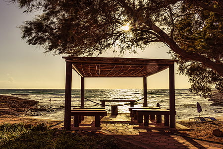 sunlight over seashore thumbnail