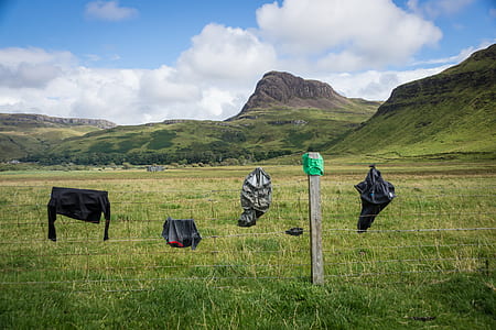 landscape photography of green grass field thumbnail
