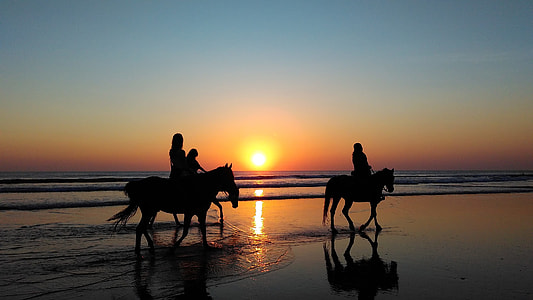 silhouette photography of a three person riding a horse walking on the beach under thumbnail