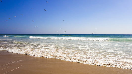 beach during daytime thumbnail