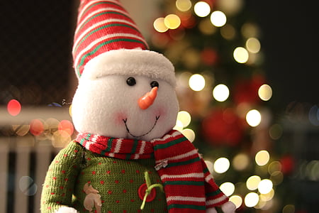 selective focus photo of snowman thumbnail