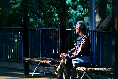man sitting on bench near green leafed trees during daytime shallow focus photography thumbnail