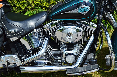 black and blue Harley Davidson motorcycle near bush thumbnail
