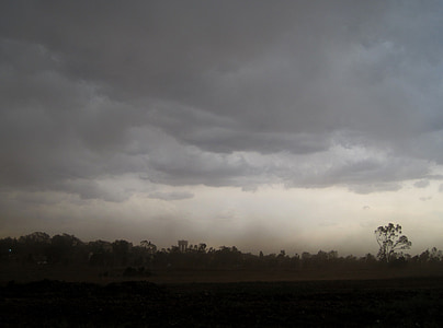 trees under dark clouds thumbnail