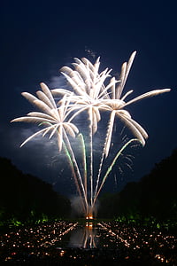 firework during nighttime thumbnail