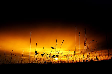 dawn, nature, sky, sunset thumbnail